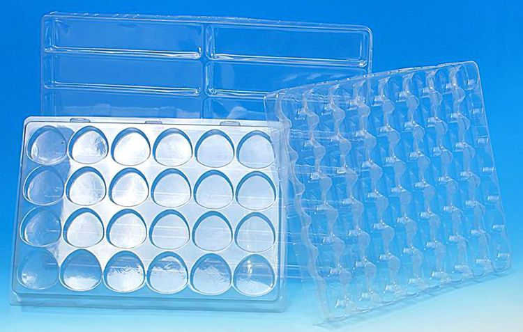 CLEAR PLASTIC TRAY